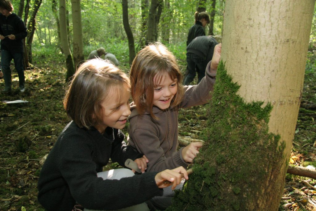 Deux enfants observent la mousse sur un tronc en forêt