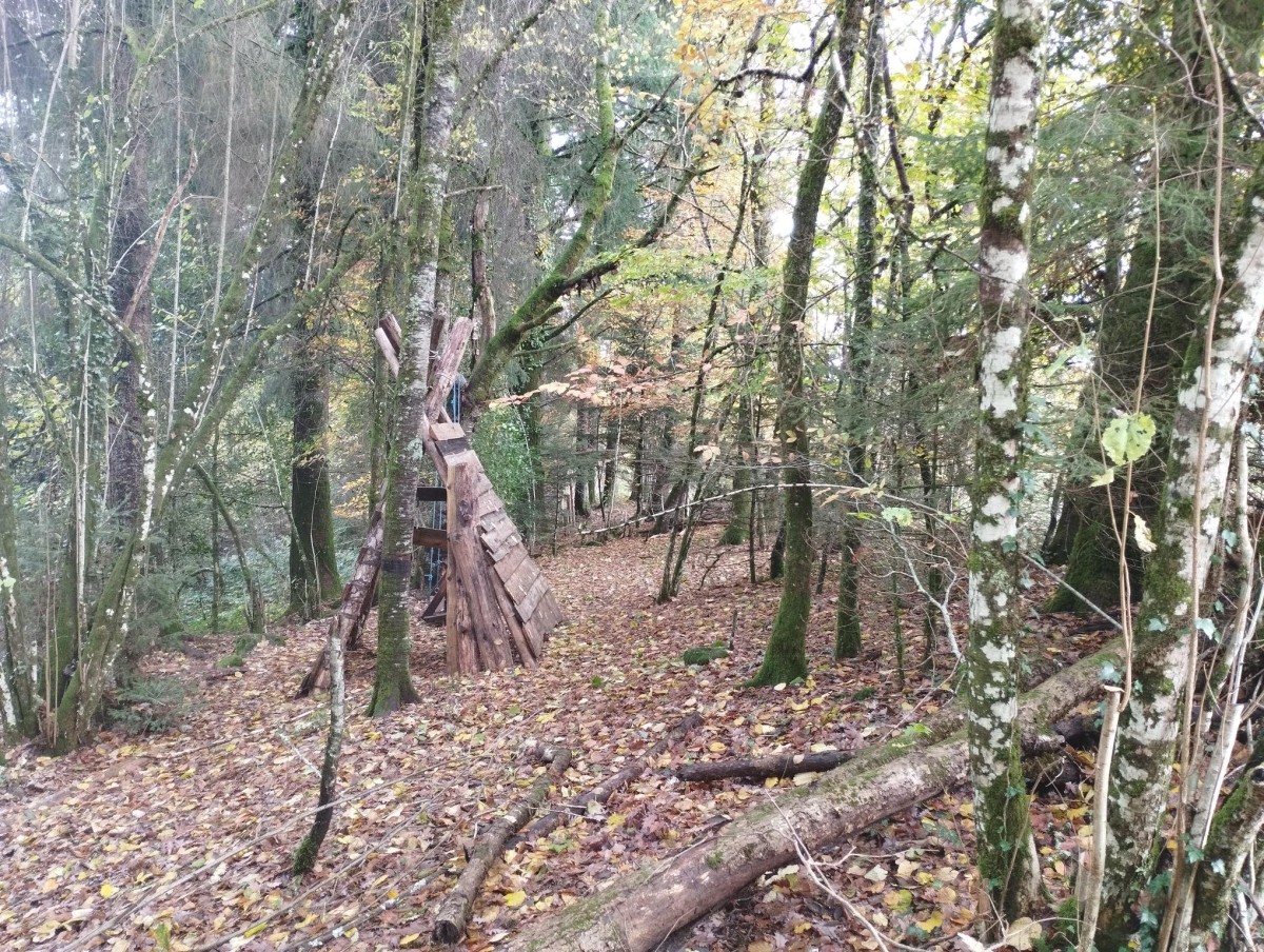 Construction en bois dans la forêt