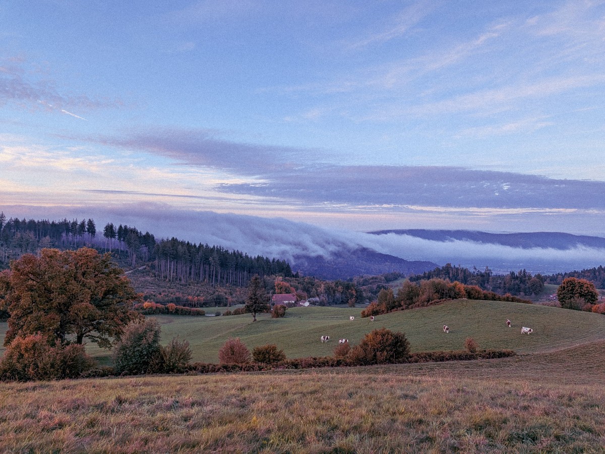 Vue sur la vallée de Remiremont et les ballons des Vosges depuis le centre des Tronches